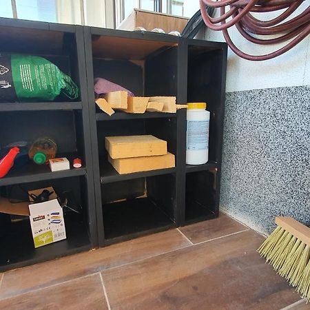 4 Room Flat With Garden And Pool Kittsee Exterior photo